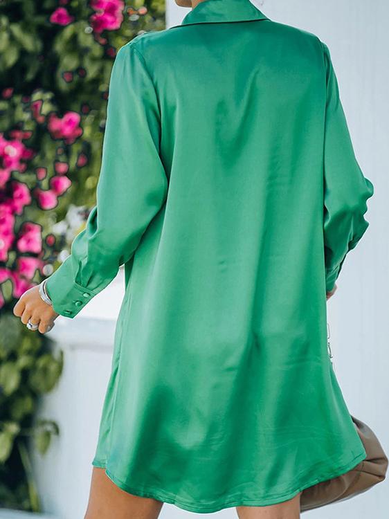 Women's Dresses Fashion Polo Collar Long Sleeve Mini Dress - LuckyFash™