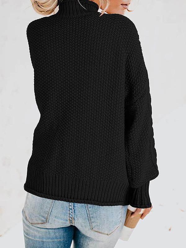 Women's Sweaters Turtleneck Long Sleeve Straight Sweater - LuckyFash™