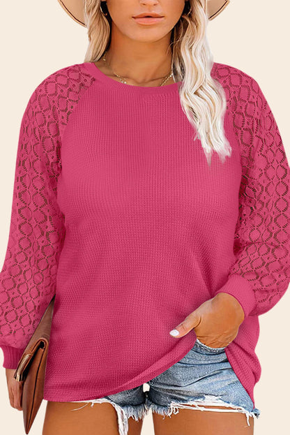 Strawberry Pink Eyelet Raglan Sleeve Drop Shoulder Plus Size Top