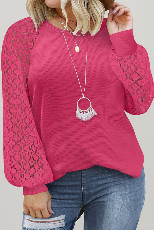 Strawberry Pink Eyelet Raglan Sleeve Drop Shoulder Plus Size Top