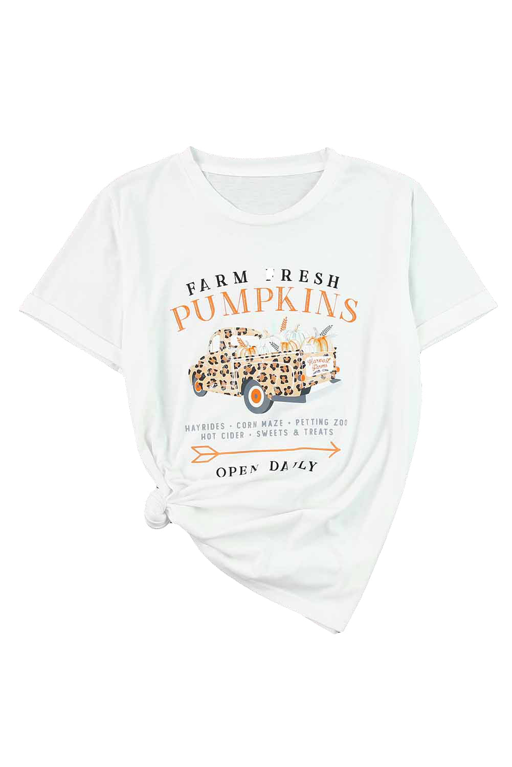 White Farm Fresh Pumpkin Open Daily T-Shirts