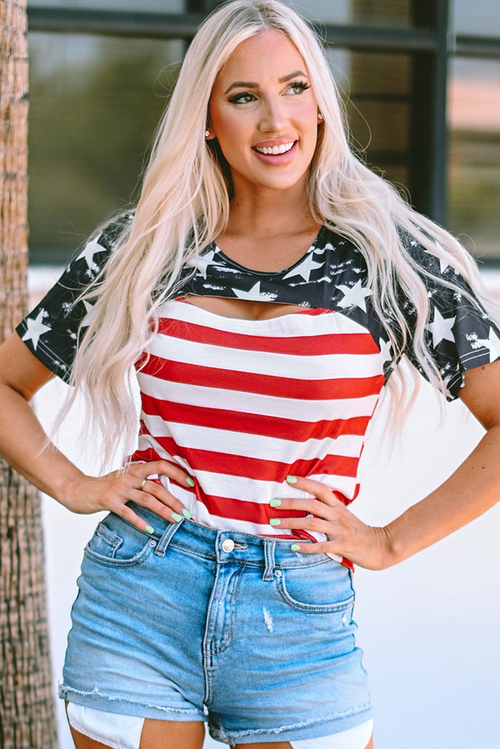 American Flag Cutout Print Black T-Shirt