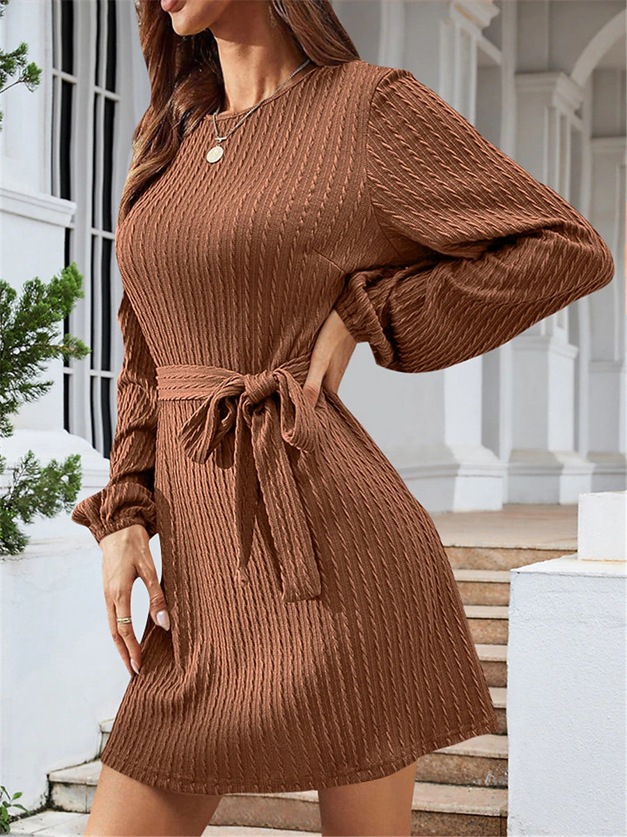 Women's Sweater Dress Jumper Dress Winter Dress Mini Dress Active Fashion Daily Plain Outdoor Casual Holiday Vacation Crew Neck Long Sleeve Lace up 2023 Regular Fit Black Red Brown S M L XL XXL