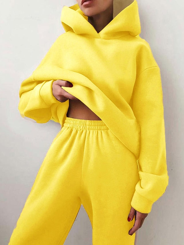 Women's Tracksuit Sweatsuit 2 Piece Street Winter Long Sleeve Fleece Thermal Warm Breathable Soft Fitness Running Jogging Sportswear Activewear Camel Almond Light Brown - LuckyFash™