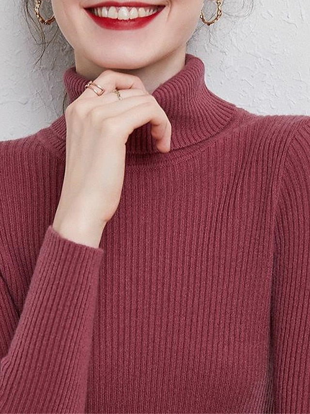 Women's Pullover Sweater Jumper Turtleneck Ribbed Knit Polyester Oversized Fall Winter Daily Holiday Going out Stylish Casual Soft Long Sleeve Solid Color Rust Red Pink purple Red bean paste S M L