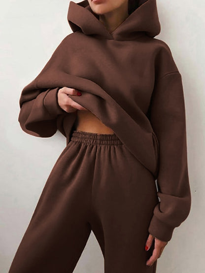 Women's Tracksuit Sweatsuit 2 Piece Street Winter Long Sleeve Fleece Thermal Warm Breathable Soft Fitness Running Jogging Sportswear Activewear Camel Almond Light Brown - LuckyFash™