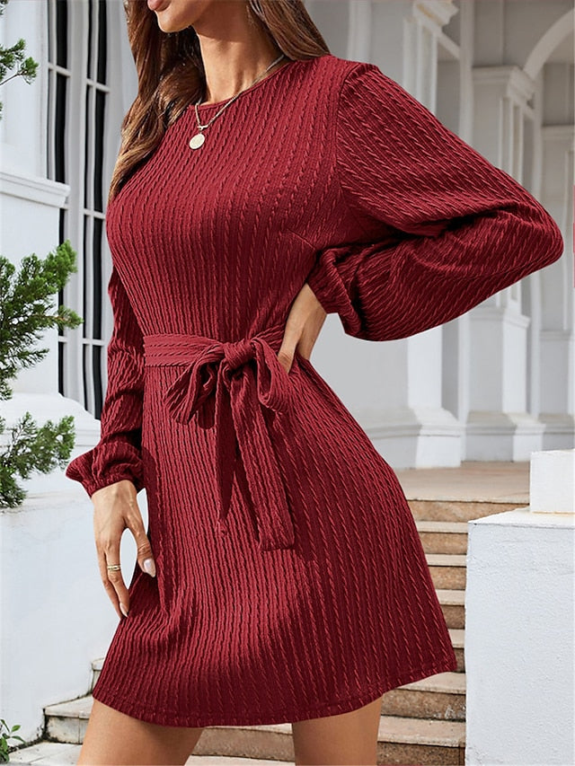 Women's Sweater Dress Jumper Dress Winter Dress Mini Dress Active Fashion Daily Plain Outdoor Casual Holiday Vacation Crew Neck Long Sleeve Lace up 2023 Regular Fit Black Red Brown S M L XL XXL