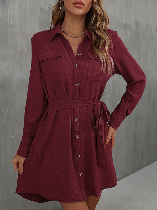 Dresses Commuter Lapel Lace Solid Mini Dress - LuckyFash™